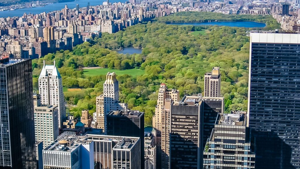best-plans-for-groups-in-new-york-and-how-to-get-there-easily